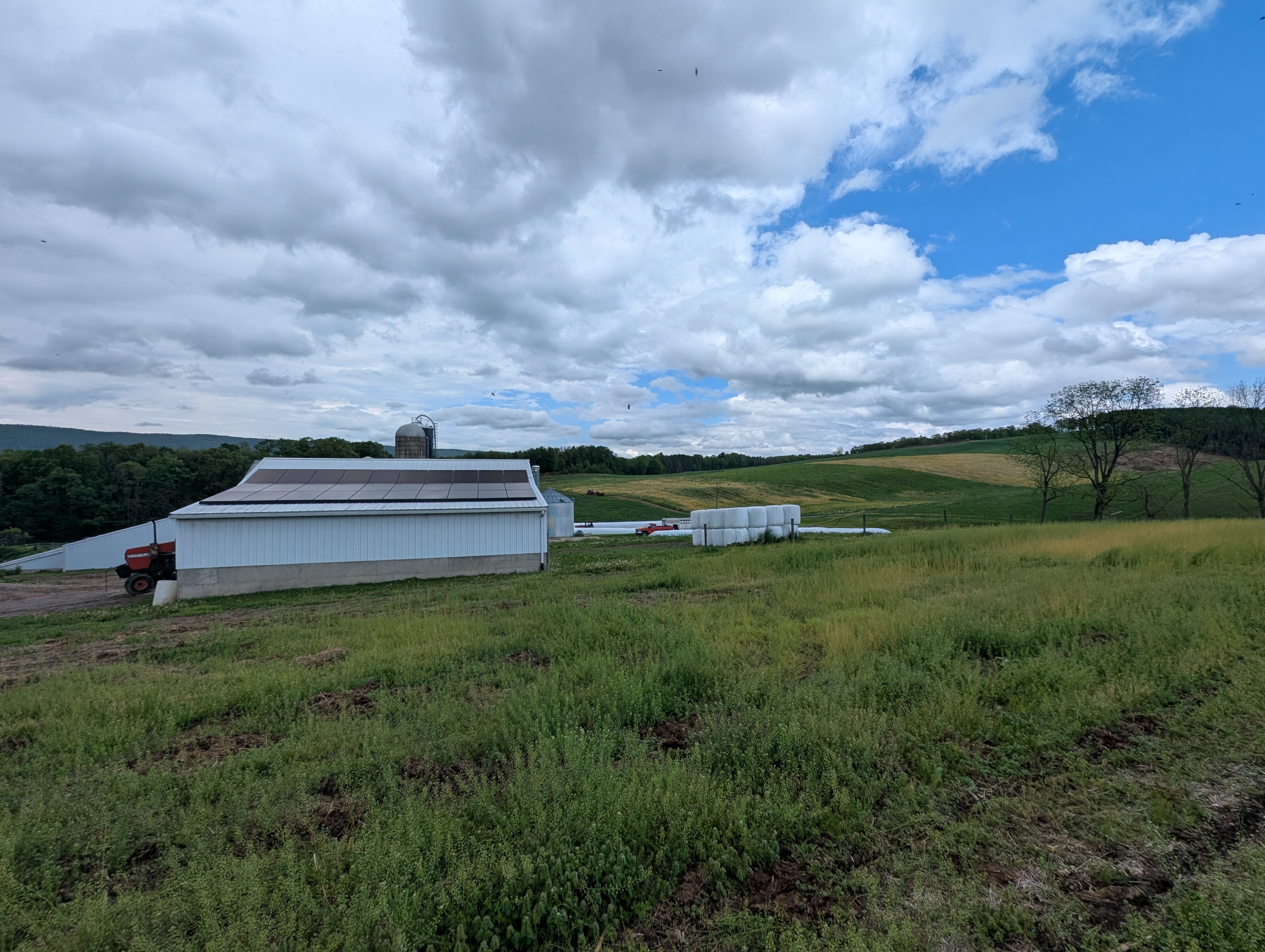 16 kW rooftop solar array at Pennsylvania steer farm